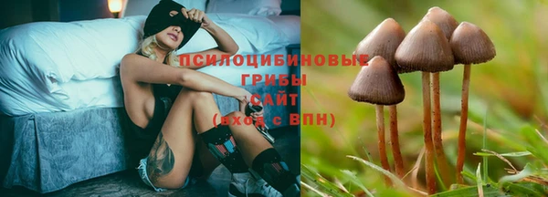 мет Армянск
