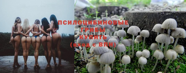 мет Армянск